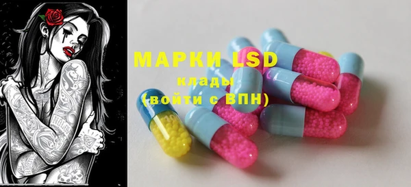 PSILOCYBIN Горнозаводск