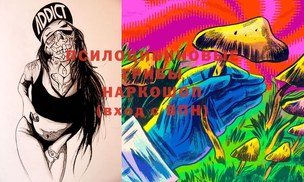 PSILOCYBIN Горнозаводск