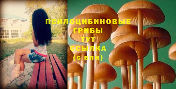 мдма Горняк