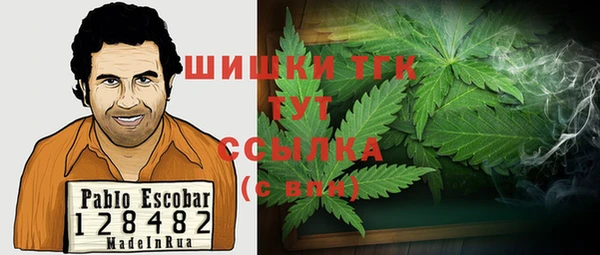 PSILOCYBIN Горнозаводск