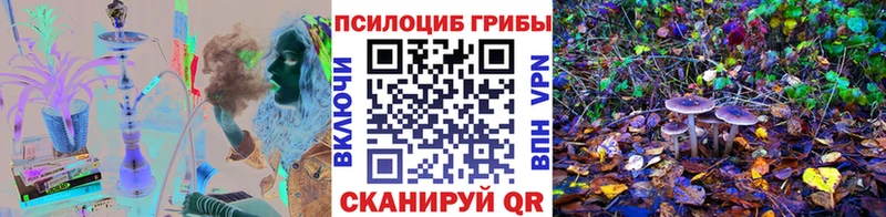 Купить где  Усмань  Галлюциногенные грибы GOLDEN TEACHER 